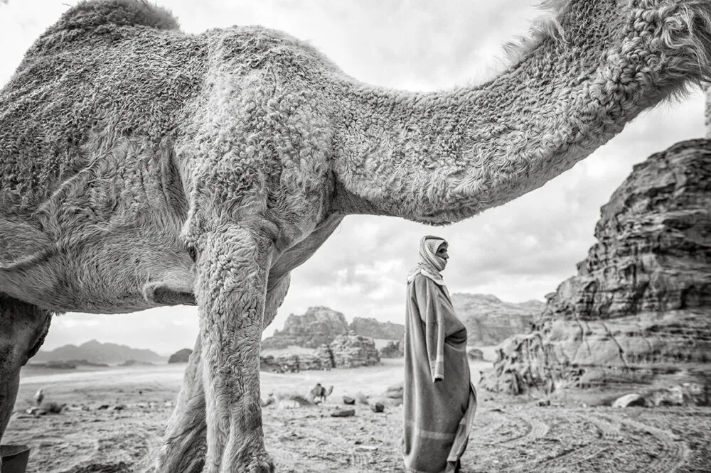 Mara_Fantini_desert